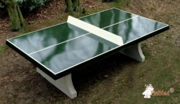Tischtennistisch in Grün
