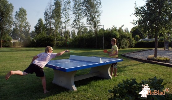 Betonnen tafeltennistafel Blauw