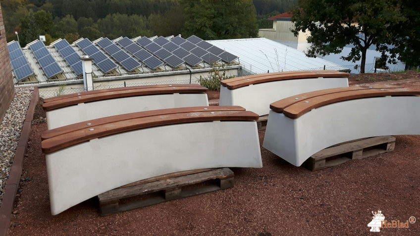 Die Baumpfleger - Martin Biehl und Thomas Wagner GbR aus Marpingen